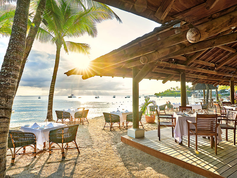 The Ravenala Attitude  10