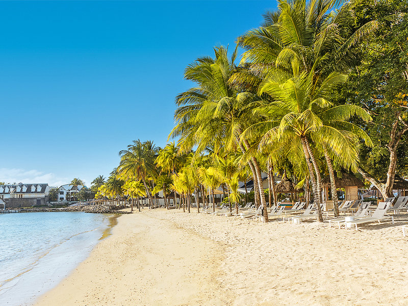 The Ravenala Attitude  13