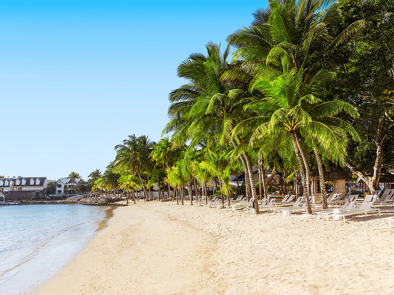 The Ravenala Attitude  19