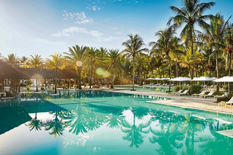 The Ravenala Attitude  3