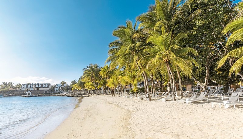 The Ravenala Attitude  4