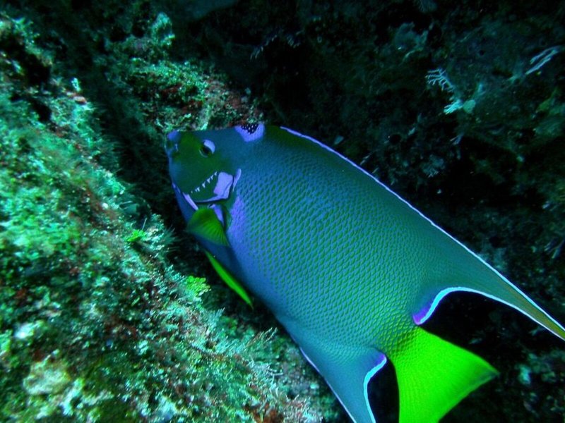 La Residencia Del Paseo 6