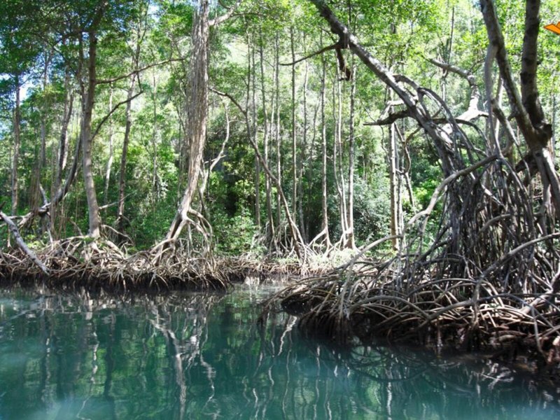 La Residencia Del Paseo 8