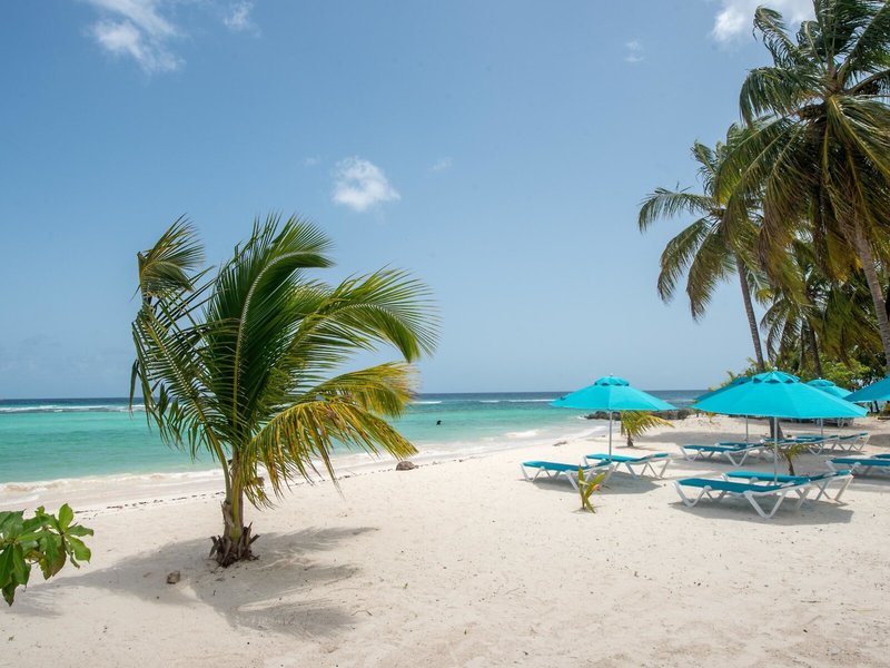 The Sands Barbados 5