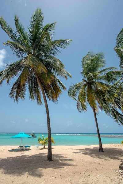 The Sands Barbados 6