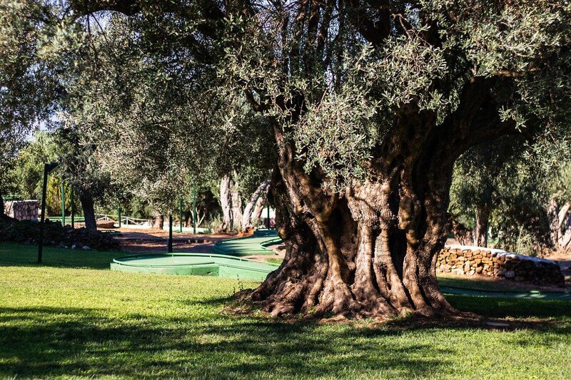 CDSHotels Terrasini - Città del Mare 44