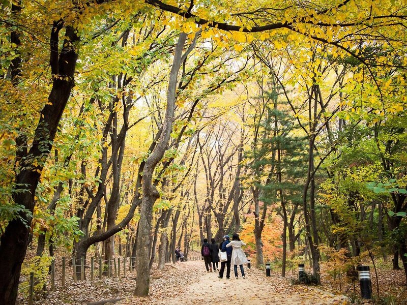 ibis Styles Ambassador Seoul Gangnam Hotel 4