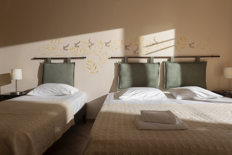 Hotel Ammon Garden 13