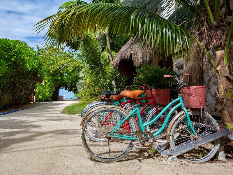 Holbox Dream Beachfront Hotel by Xperience Hotels 7 - Landscape