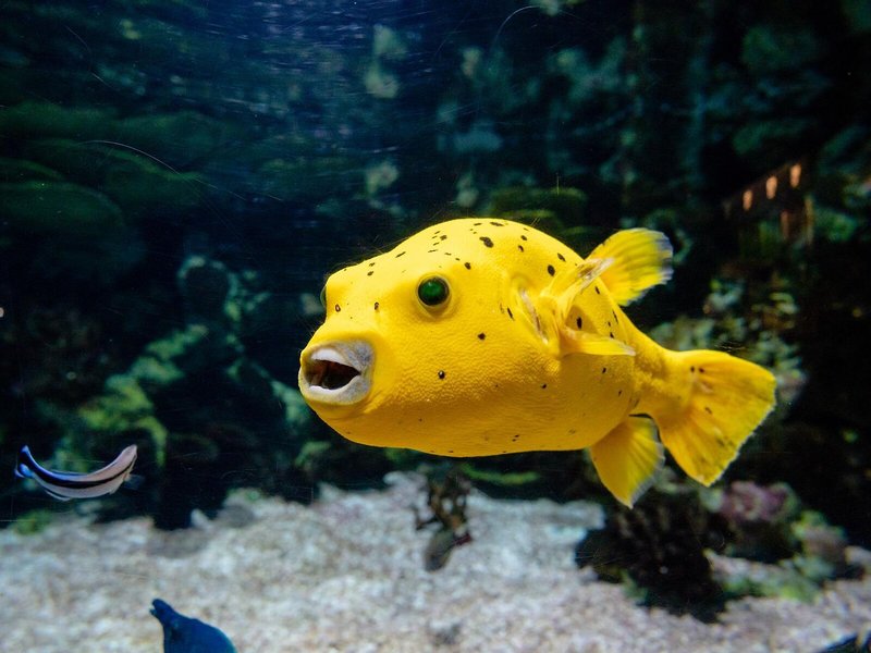 Le Suffren Hotel & Marina 26