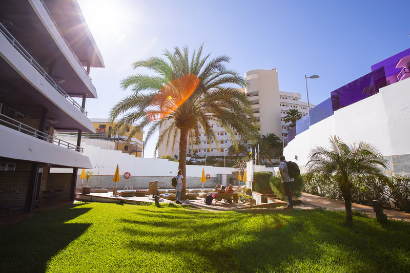 Jacarandas Beach 12