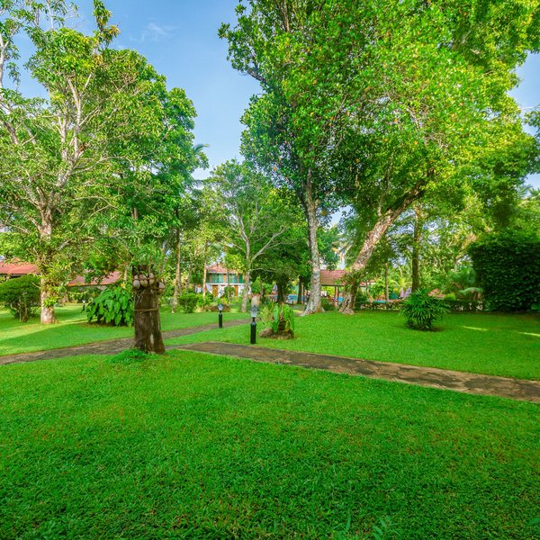 Ayurveda Centrum Lawrence Hill Paradise 10