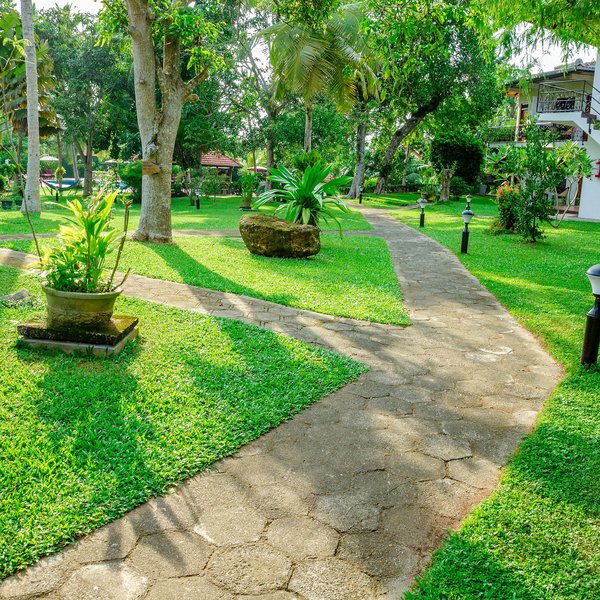 Ayurveda Centrum Lawrence Hill Paradise 15