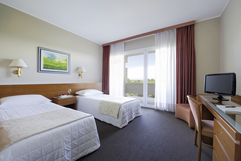 Terme des Bains 4 - Room Example