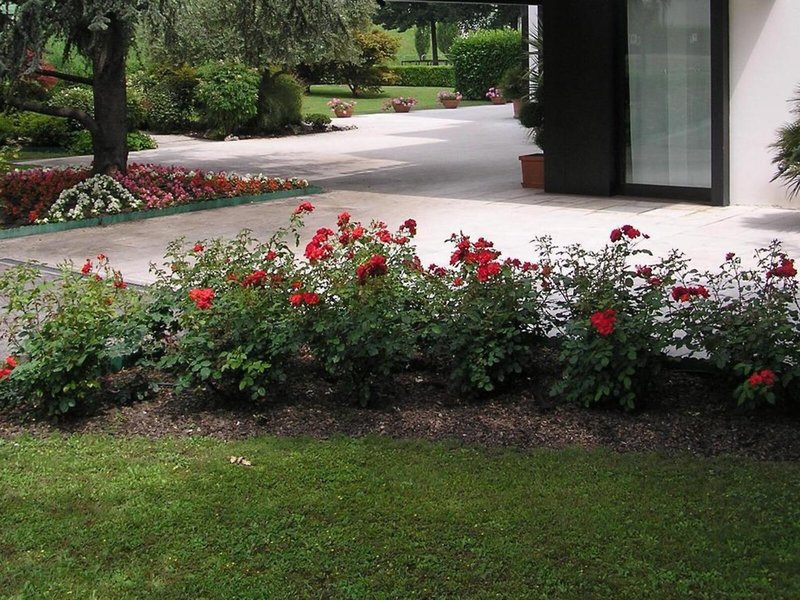 Giovanni 1