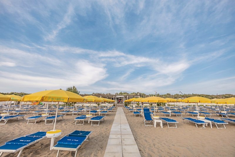 Hotel Le Palme 5