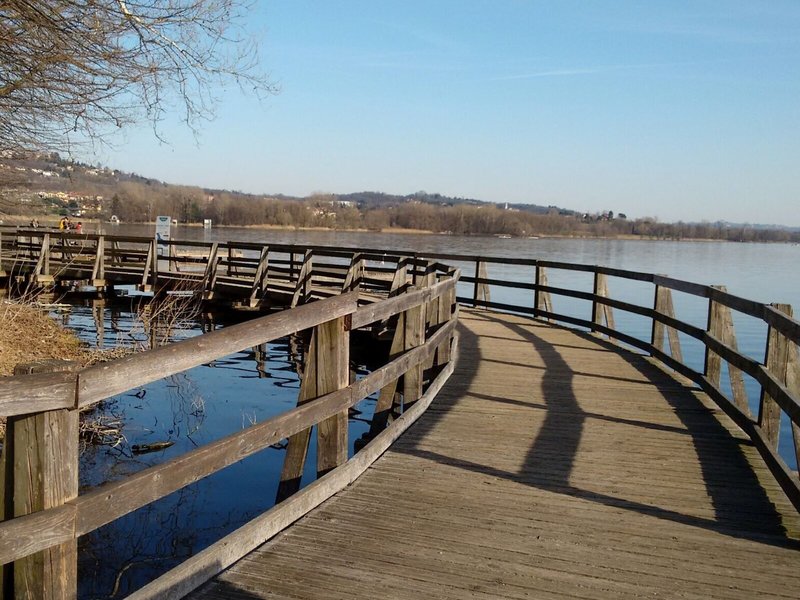 Horizon Wellness & Spa Resort 4