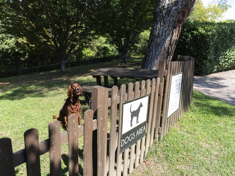 Horizon Wellness & Spa Resort 9