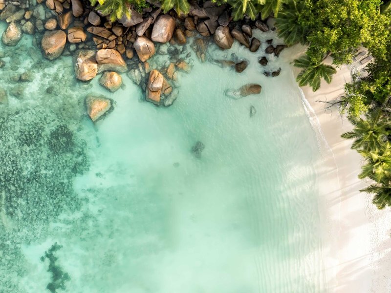 Constance Lemuria 21