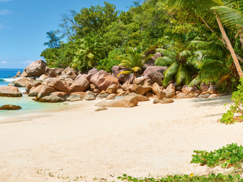 Constance Lemuria 16