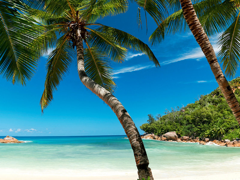 Constance Lemuria 12