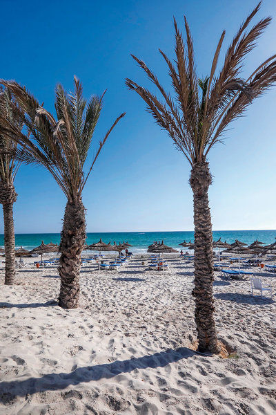 Baya Beach Aqua Park Resort & Thalasso 15