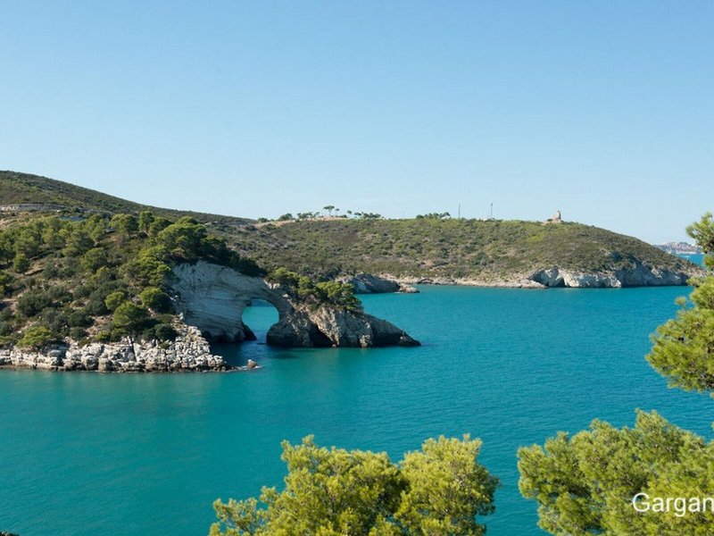 Pizzomunno Vieste Palace Hotel 7