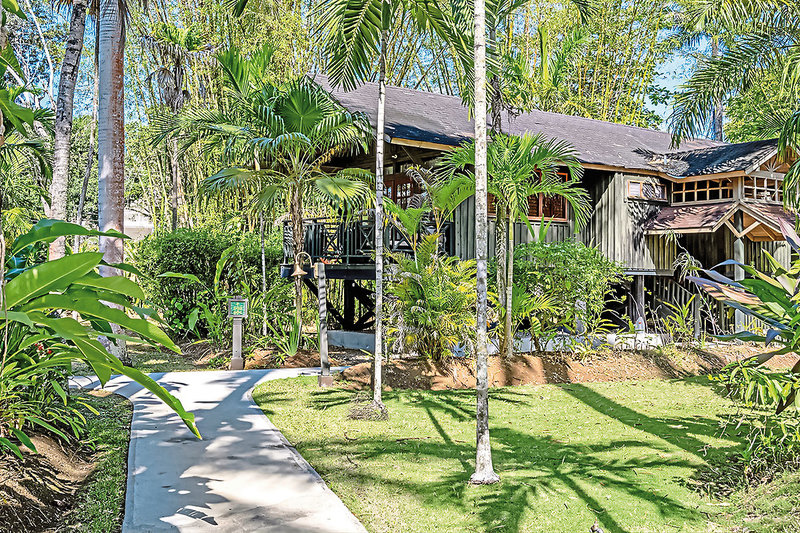 Sunset at the Palms 6