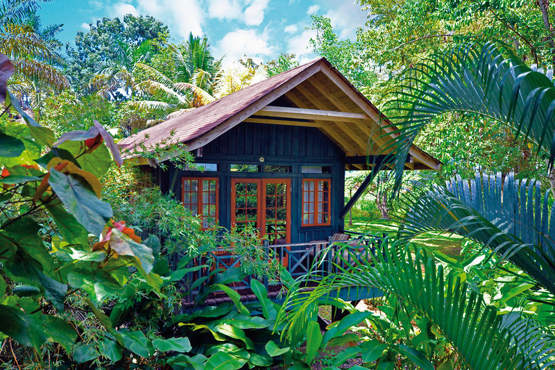 Sunset at the Palms 17