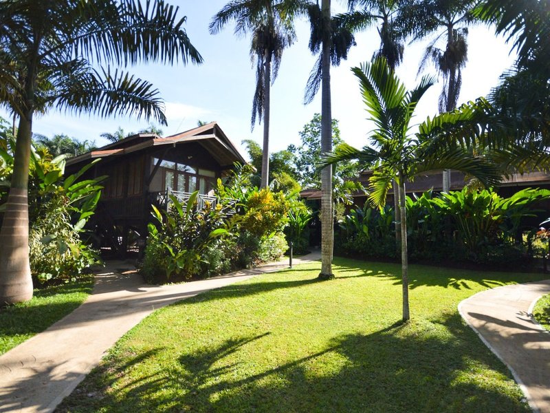 Sunset at the Palms 6