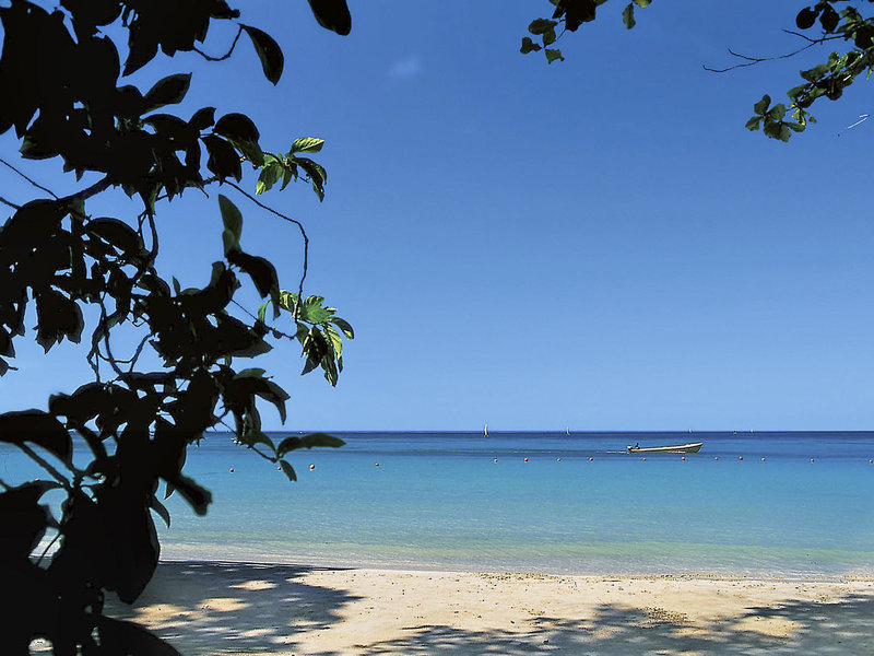 Sunset at the Palms 7