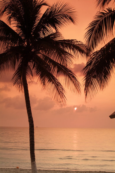 Sunset at the Palms 8