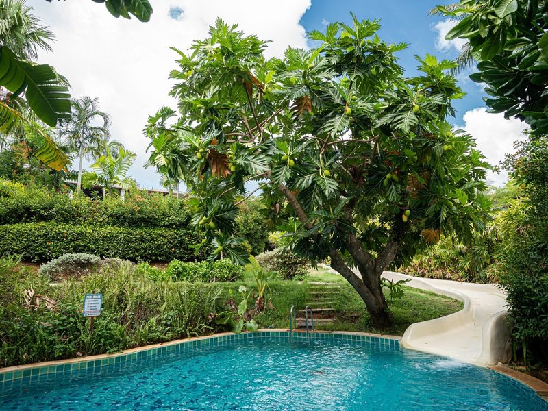 The Village Coconut Island 7