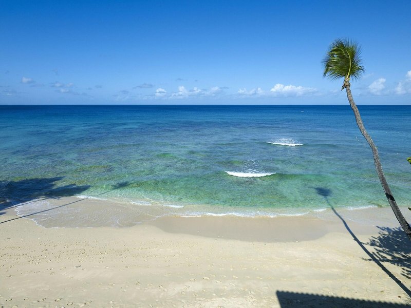 Tamarind by Elegant Hotels 6 - Beach