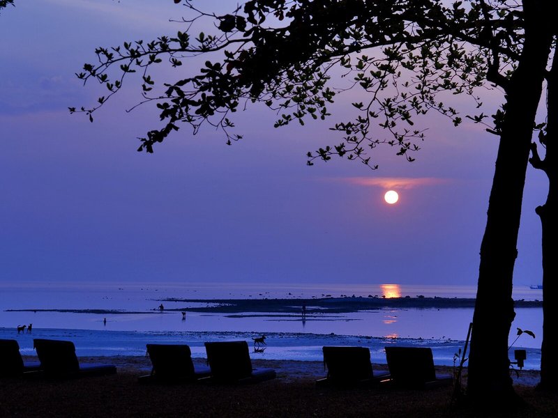 Tolani Resort & Spa Koh Samui 5