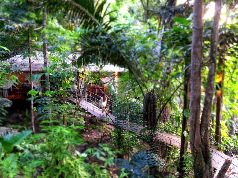 Bunga Raya Island Resort & Spa 23