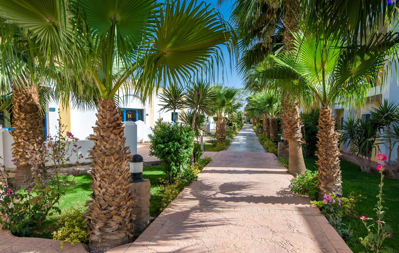 Mirage Bay Resort & Aquapark 5