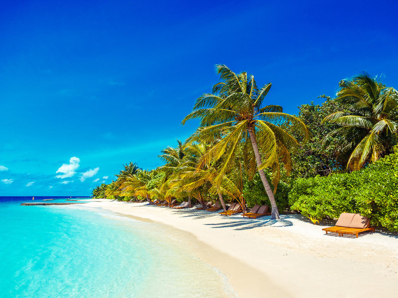 Lily Beach Resort & Spa Huvahendhoo 3