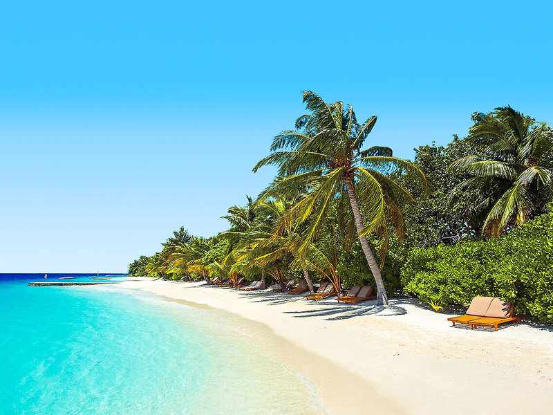 Lily Beach Resort & Spa 17