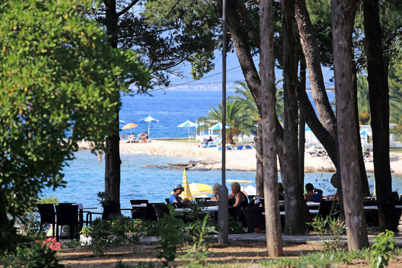 Los Dragos del Sur 2