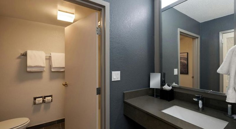 Courtyard North Charleston Airport/Coliseum 5 - Bathroom Example