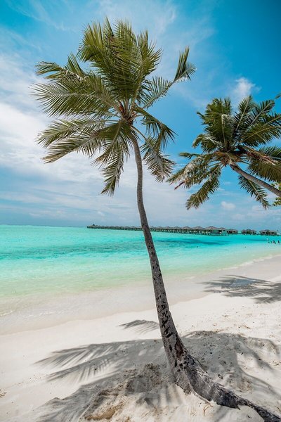 Sun Island Resort & Spa 10