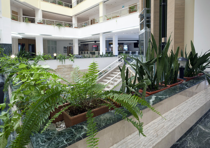 Hotel Luna 14