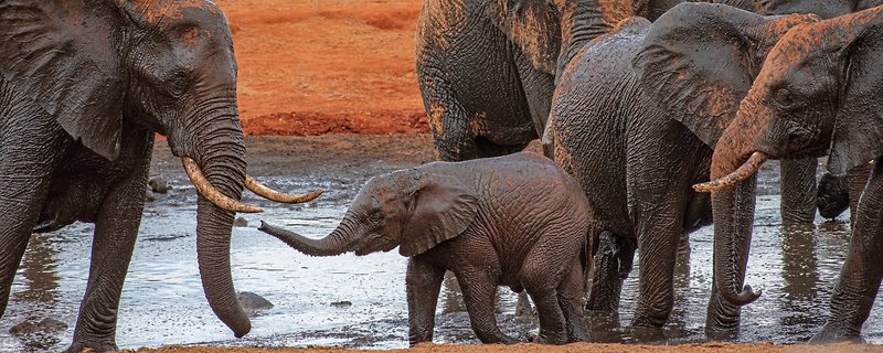 Papillon Lagoon Reef 21