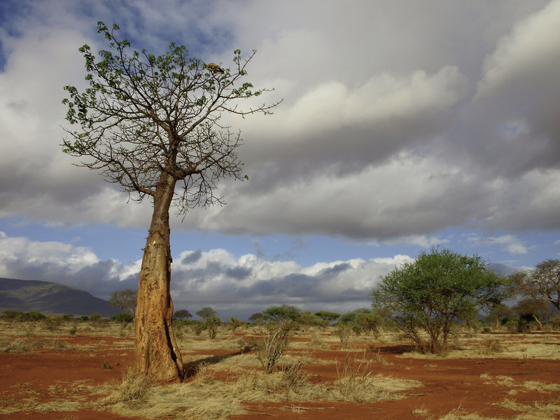 Papillon Lagoon Reef 17