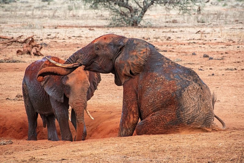 Papillon Lagoon Reef 22