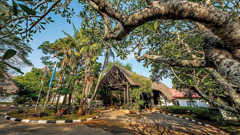 Papillon Lagoon Reef 25