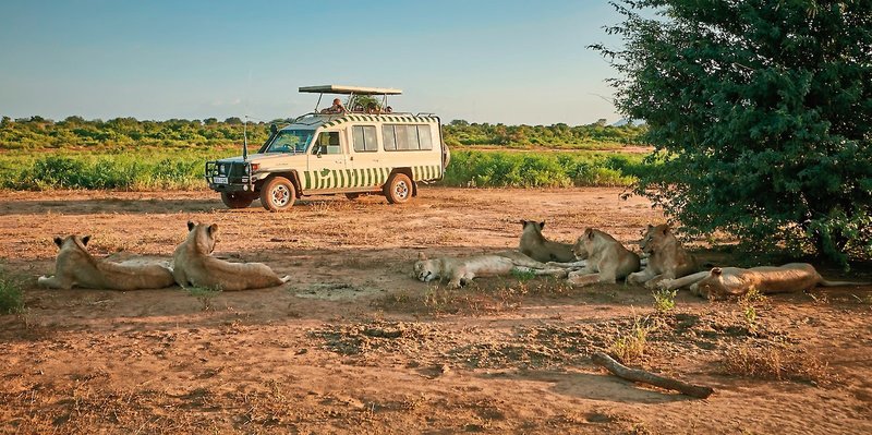 Papillon Lagoon Reef 20