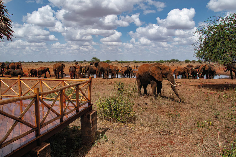 Papillon Lagoon Reef 27