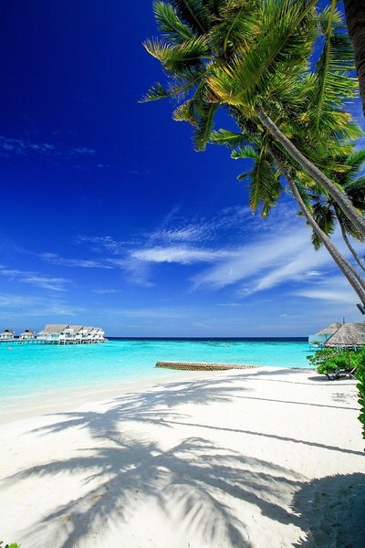 Machchafushi Island Resort & Spa Maldives, The Centara Collection 9